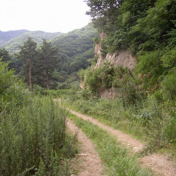 산림욕산책길